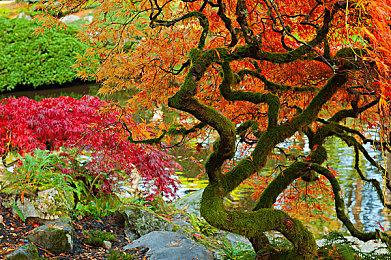 3D冒险游戏《水隐之城》新预告 发售日期待定